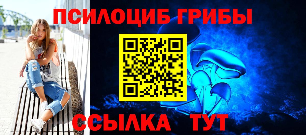 Нерюнгри  Галлюциногенные грибы MAGIC MUSHROOMS  даркнет сайт  Вход с VPN  Галлюциногенные грибы Psilocybe 